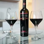 Angelica * Zadar