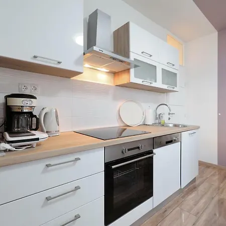 Angelica * ザダル