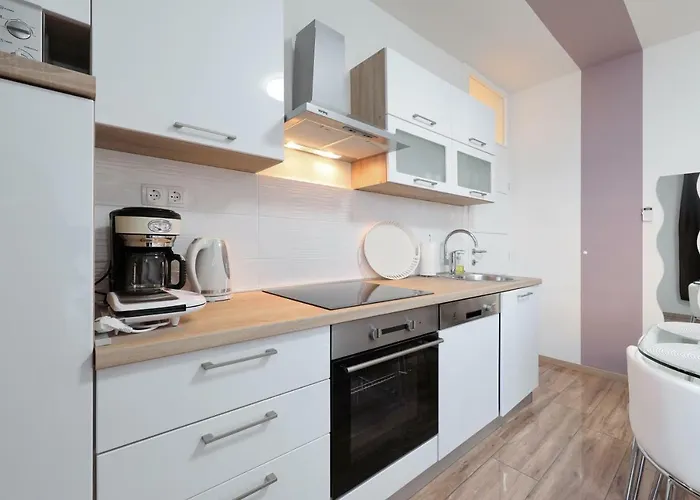 Angelica * ザダル