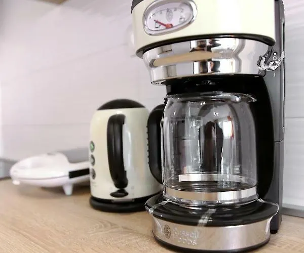 Angelica * ザダル